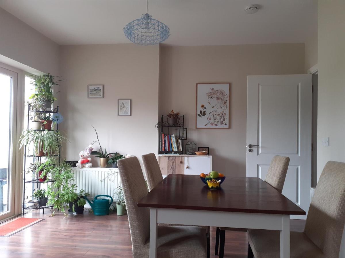 Ensuite At The Foot Of Dublin Mountains Экстерьер фото