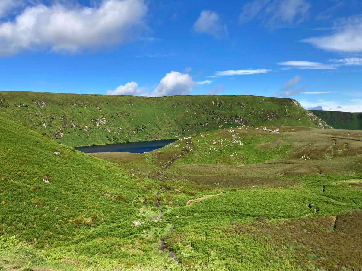 Ensuite At The Foot Of Dublin Mountains Экстерьер фото